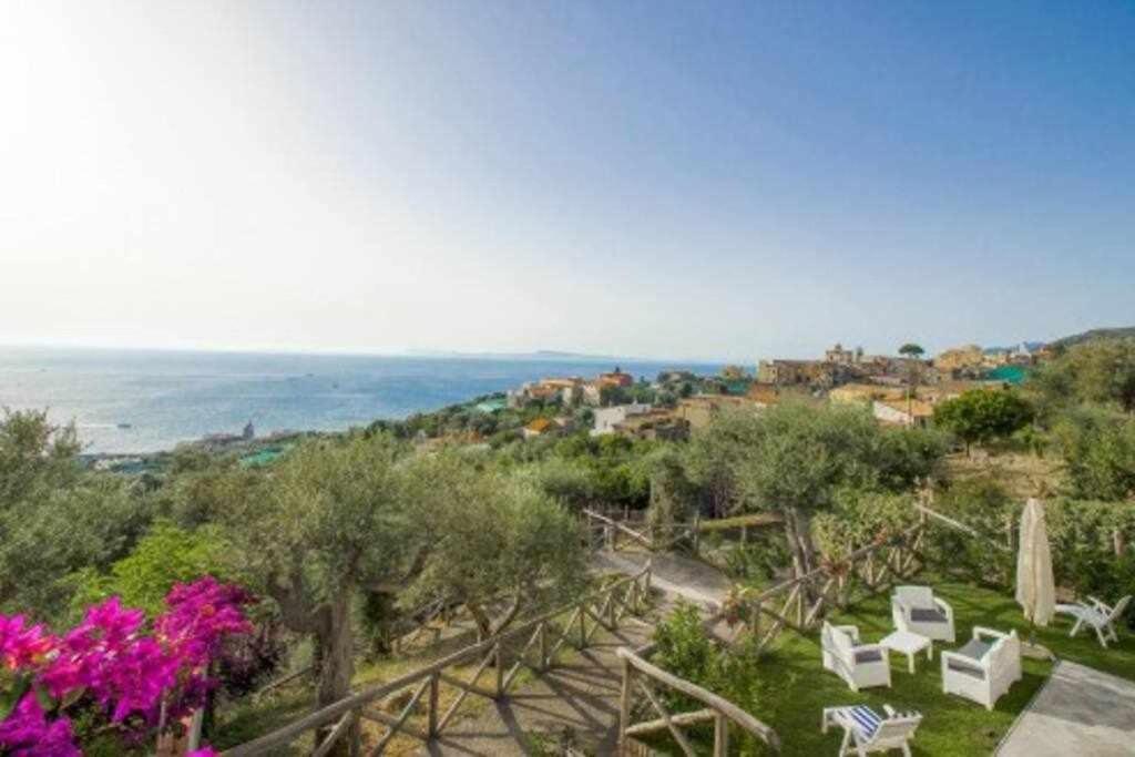 Villa Il Sogno Di Zia Ada Massa Lubrense Dış mekan fotoğraf